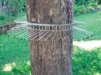 Schwegler Katzenabwehrgürtel für Bäume mit 70 cm Umfang als Kletterschutz für Vögel – Bild 1 von 4