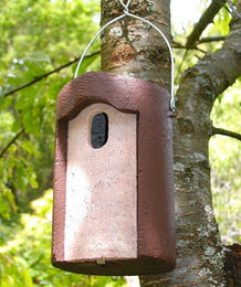 Produktbild von Schwegler Meisenkasten aus Holzbeton für Wildvögel in Braun