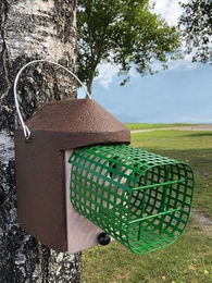 Schwegler Meisenkasten Nisthöhlen 2er Set aus Holzbeton mit Waschbärschutz in Rot und Braun – Bild 1 von 9