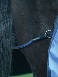 Schweifriemen und Hinterhandriemen BU Tube aus Kunststoff in Schwarz oder Blau – Bild 1 von 2
