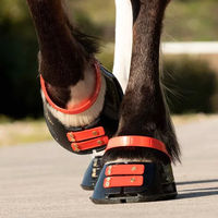 Produktbild von Scoot Boots Vordergurt Standard 6er Pack