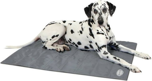 Produktbild von Scruffs Cooling Mat Hundematte aus Nylon Grau Größe L