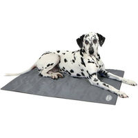 Produktbild von Scruffs Cooling Mat Hundematte aus Nylon Grau Größe L