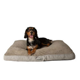 Scruffs Harvard Orthopädische Hundematratze mit Memory Foam für Senioren XL – Bild 1 von 6
