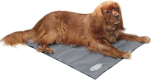 Produktbild von Scruffs Hundematte Katzenkissen Grau Nylon Größe M