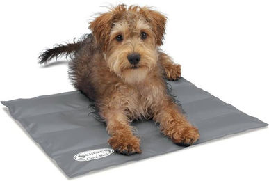 Produktbild von Scruffs Hundematte Katzenkissen Grau Nylon Größe S