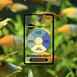 Seachem Combo-Alarm Wassertester zur kontinuierlichen Überwachung von Ammoniak und pH-Wert für Süßwasser Fischbecken 2er Pack – Bild 1 von 3