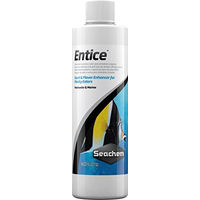 Produktbild von Seachem Entice Aquarien Zusatzmittel 250 ml - 250 ml