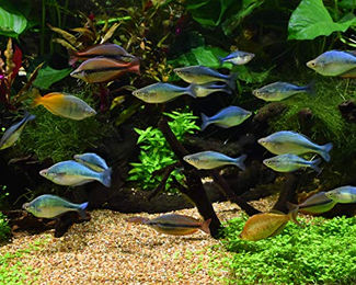 Seachem Equilibrium Pflanzendünger 4 kg – Bild 1 von 2