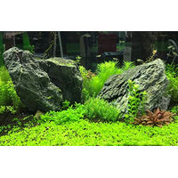 Produktbild von Seachem Flourish Pflanzendünger mit hochkonzentriertem Eisen 4 Liter - 4 l