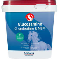 Produktbild von Sectolin Gelenk-Supplement Pulver mit Glucosamin, Chondroitin & MSM 1 kg