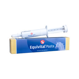 Produktbild von Sectolin Pasta Ergänzungsfutter für Fohlen und Aufzucht zur Unterstützung von Gelenken und Knochen 25 ml