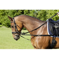 Produktbild von Seitliche Pferdezügel aus Nylon von USG in Schwarz Größe S