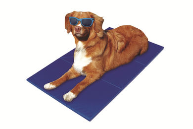 Selbstkühlende Matte für Hunde und Katzen in Blau 90x50cm - 90 cm – Bild 1 von 1