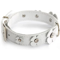 Produktbild von Sellerie Canine Vendéenne Hundehalsband aus Leder weiß wasserabweisend 31/55 cm