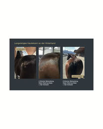 Sensicell Horse Deep Cleaning Mask Hautreinigung und Fellpflege für Pferde 500ml – Bild 1 von 2