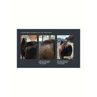 Produktbild von Sensicell Horse Deep Cleaning Mask Hautreinigung und Fellpflege für Pferde 500ml