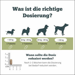 Sensipharm Geria Comfort Nahrungsergänzung für Senioren Hunde 90 Tabletten – Bild 1 von 3