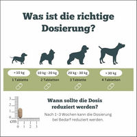 Produktbild von Sensipharm Geria Comfort Nahrungsergänzung für Senioren Hunde 90 Tabletten