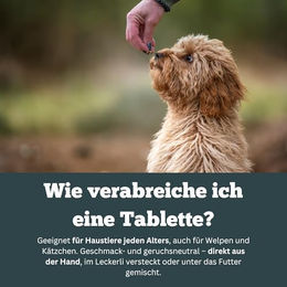 Sensipharm Monoderma Dry Haut-Fell-Supplement für Hunde 90 Tabletten – Bild 1 von 3