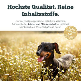 Sensipharm Omniderma Haut-Fell-Supplement für Hunde mit 90 Tabletten – Bild 1 von 2