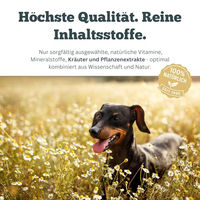 Produktbild von Sensipharm Omniderma Haut-Fell-Supplement für Hunde mit 90 Tabletten