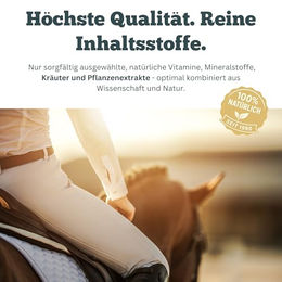 Produktbild von Sensipharm Omniderma Haut-Fell-Supplement für Pferde 180 Tabletten