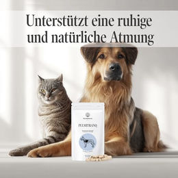Sensipharm Pulmitranq Kräutertabletten zur Unterstützung der Atemwege für Hunde mit 90 Tabletten à 1000 mg – Bild 1 von 3