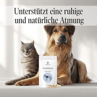 Produktbild von Sensipharm Pulmitranq Kräutertabletten zur Unterstützung der Atemwege für Hunde mit 90 Tabletten à 1000 mg