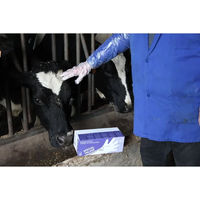 Produktbild von Septicare Kalbsgloves 100 Stück