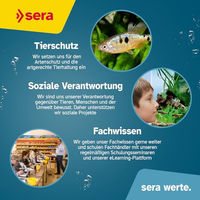 Produktbild von Sera Aqua-Test Box (+Cl) Professioneller Aquarium Testkoffer für Süßwasser und Teich zur Messung von Nitrit, Phosphat, pH-Wert und Chlor - 1 Stk.
