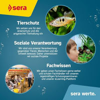 Produktbild von Sera Aquarium-Regelheizer 200W für Fische - 1 Stk.