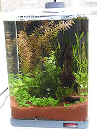 Sera Biotop Nano LED Cube 16l Aquarium Komplettset mit LED Beleuchtung und Innenfilter - 16 l – Bild 1 von 8