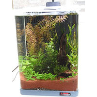 Produktbild von Sera Biotop Nano LED Cube 16l Aquarium Komplettset mit LED Beleuchtung und Innenfilter - 16 l