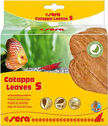 Sera Catappa Leaves Seemandelbaumblätter zur natürlichen Wasseraufbereitung für Süßwasserbewohner wie Garnelen Krebse und Welse 10 Stück – Bild 1 von 3