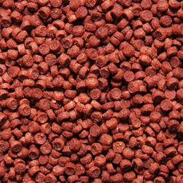 Sera Cichlid Tanganyika Granules Fischfutter für Buntbarsche 1000 ml 565 g - 1000 ml – Bild 1 von 3
