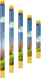 Sera LED X-Change Tube plantcolor sunrise Aquarium-Beleuchtung 660 mm 8,3 W – Bild 1 von 3