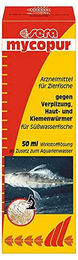 Sera Mycopur Medikament für Süßwasser-Buntfische 50 ml - 50 ml – Bild 1 von 7