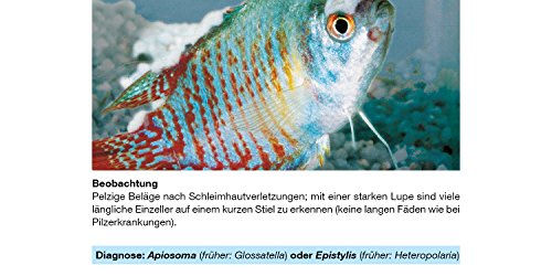 sera Phyto med Protazid pflanzliches Arzneimittel gegen Hautparasiten für Fische 30 ml - 30 ml – Bild 1 von 3