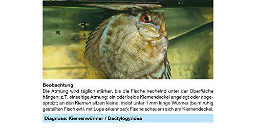 Sera Phyto med Tremazid Pflanzlicher Wasseraufbereiter gegen Haut- und Kiemenwürmer für Fische 100 ml - 100 ml – Bild 1 von 9