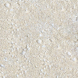 Sera Reptimineral H Mineralien- und Vitaminergänzung für pflanzenfressende Reptilien 100 ml - 100 ml – Bild 1 von 2