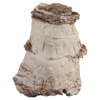 Produktbild von sera Rock Asian Pagoda Naturstein für Süßwasserfische XXL ca. 6 kg grau-beige - 6 kg