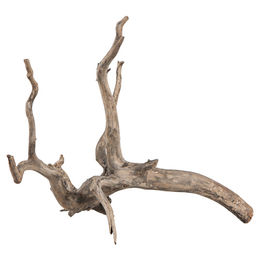 sera Scaper Root Aquascaping Wurzel für Süßwasser XS 18-20 cm Braun – Bild 1 von 2