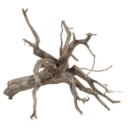 sera Scaper Root Naturwurzel Größe M 30-35 cm für Aquaristik – Bild 1 von 3