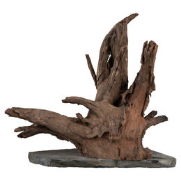 sera Scaper Wood Wurzel auf Schieferplatte Naturprodukt Größe L 30 - 35 cm für Garnelen – Bild 1 von 5
