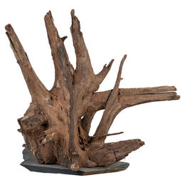 sera Scaper Wood Wurzel auf Schieferplatte Naturprodukt Größe M 18 - 20 cm – Bild 1 von 5