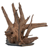 Produktbild von sera Scaper Wood Wurzel auf Schieferplatte Naturprodukt Größe M 18 - 20 cm