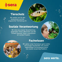 Produktbild von sera UVC-Xtreme 1200 Außenfilter für Aquarien mit UV-C-Lampe zur Keim- und Algenbekämpfung
