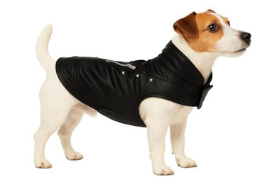 Sergio Schwarz Hundemantel Winter Flamingo aus Kunstleder wasserabweisend Rückenlänge 30 cm – Bild 1 von 4