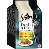 Produktbild von Sheba Fresh & Fine Nassfutter Katze Adult Multipack mit Truthahn Huhn und Geflügel in Gelee 36x50 g - 36 x 50 g